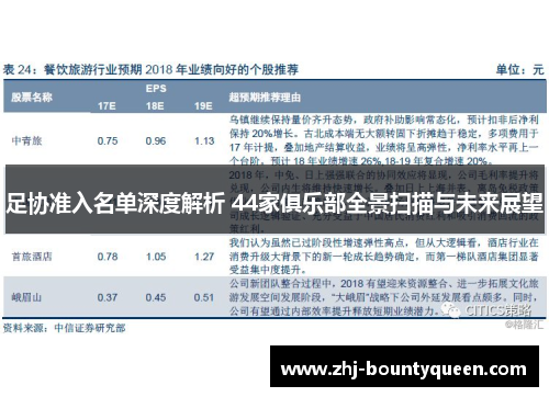 足协准入名单深度解析 44家俱乐部全景扫描与未来展望