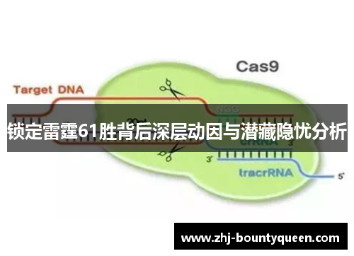 锁定雷霆61胜背后深层动因与潜藏隐忧分析