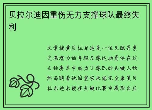 贝拉尔迪因重伤无力支撑球队最终失利